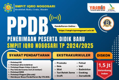 PPDB